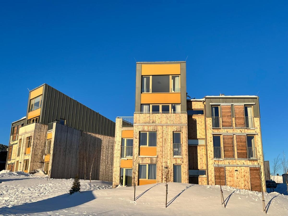 Meadows Apartments Klinovec Loučná pod Klínovcem Екстериор снимка