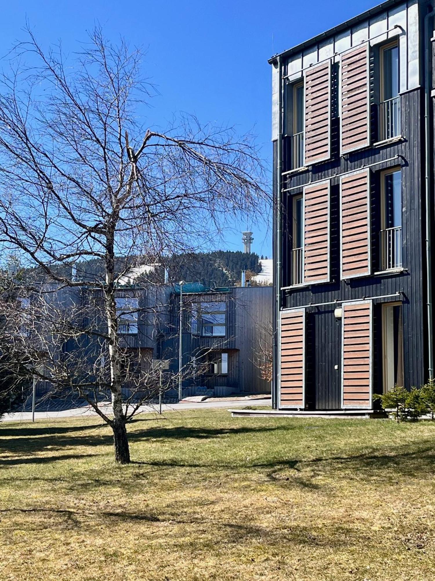Meadows Apartments Klinovec Loučná pod Klínovcem Екстериор снимка